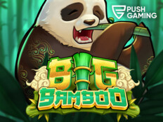 Bingo casino online15